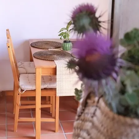 Cortijo La Ciclona Appartement Fernan Perez Buitenkant foto