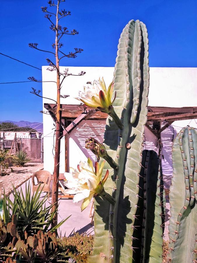 Cortijo La Ciclona Apartment Fernan Perez